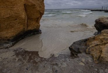 Одеський зоопарк, де після атаки РФ рятують сотні птахів, опинився на межі колапсу