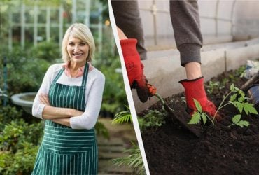 Самый точный посевной календарь на январь 2026: что посадить на рассаду обязательно