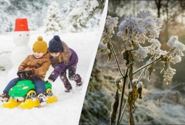 Прогноз погоди на січень 2026: скільки випаде снігу та коли очікувати морозів