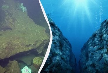 Де розташована Маріанська западина і хто там мешкає: таємниці найглибшого місця на Землі