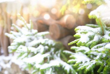 До України йде довгоочікуване потепління, але радіти рано, - прогноз синоптикині