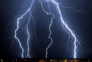 Деревья могут искрить во время грозы: ученые впервые заметили уникальное явление