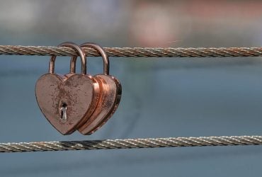 Вчені перелічили 6 видів тварин, які все життя живуть з одним партнером