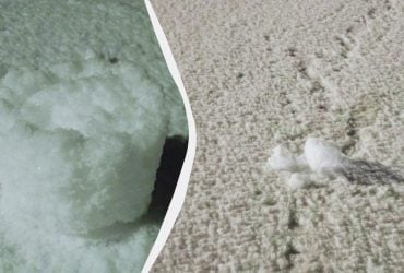 В Винницкой области увидели редкое зимнее явление (фото)