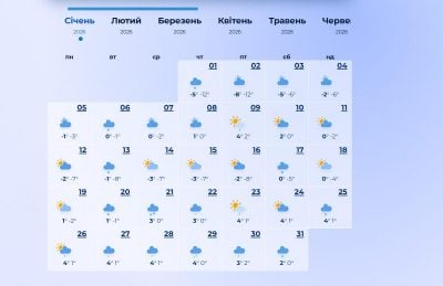 погода январь 2026 года