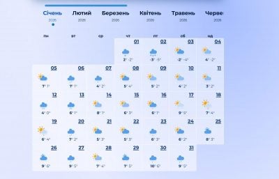 погода в январе 2026 года