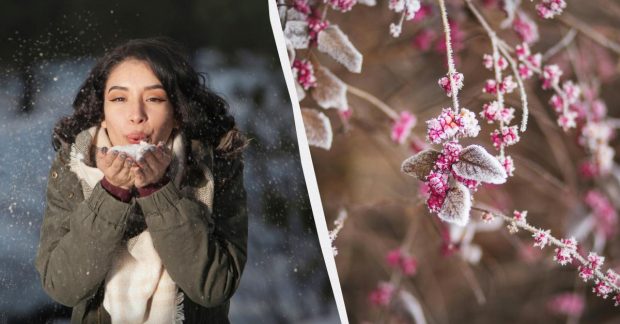 Яке сьогодні свято 12 грудня 2025