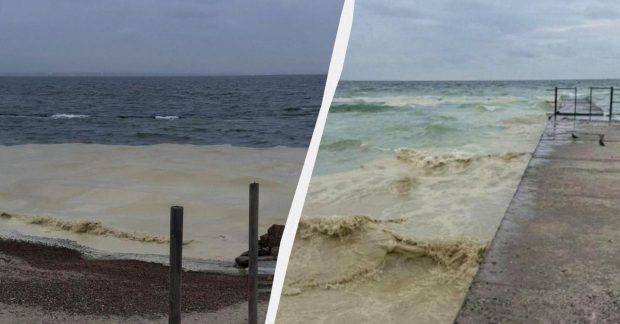 через атаку РФ у море потрапили тонни рослинної олії