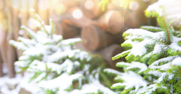 До України йде довгоочікуване потепління, але радіти рано