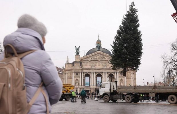 У Львові почали встановлювати новорічну ялинку: якою вона буде цьогоріч (фото)