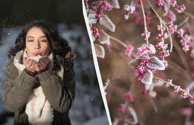 12 декабря в Украине наступает большой праздник: кого поздравить и что нельзя делать