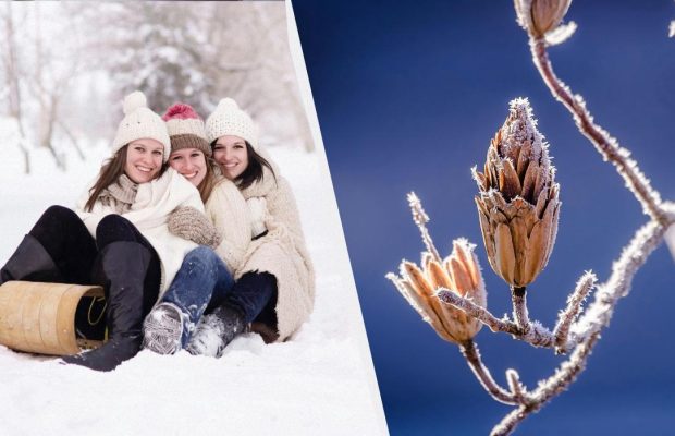 17 грудня - велике свято в Україні: що відзначити і кого привітати сьогодні