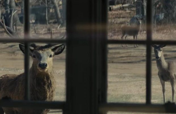 Вийшов перший трейлер нового загадкового фільму Спілберга