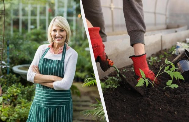 Найточніший посівний календар на січень 2026: що посадити на розсаду обов'язково