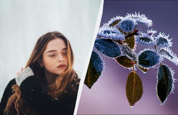 Що обов'язково потрібно приготувати 28 грудня 2025 року: звичаї у свято сьогодні