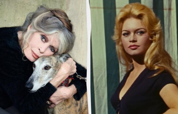 Умерла легендарная Брижит Бардо, - СМИ