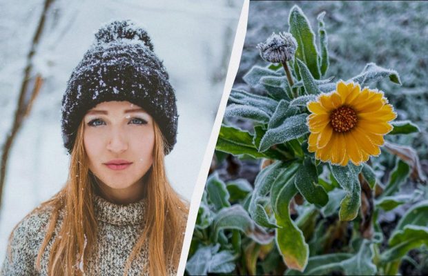 29 декабря - несчастливый день: что опасно делать в праздник сегодня