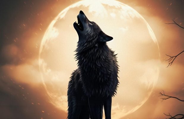 Вовчий Місяць у січні 2026: коли буде перша суперповня року і чим вона небезпечна