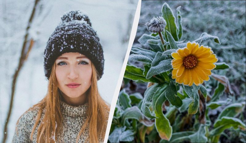 29 декабря - несчастливый день: что опасно делать в праздник сегодня