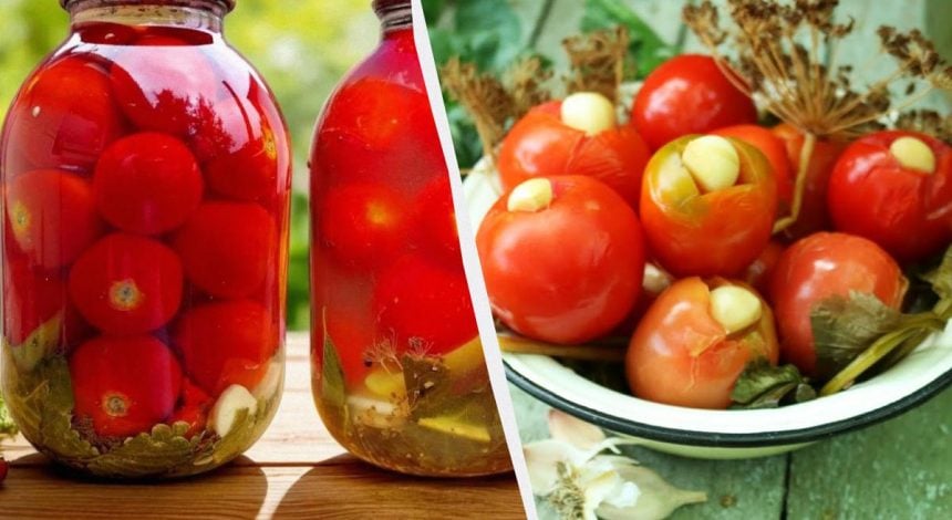 Неймовірні квашені помідори з гірчицею: рецепт на мільйон - усі хочуть добавки