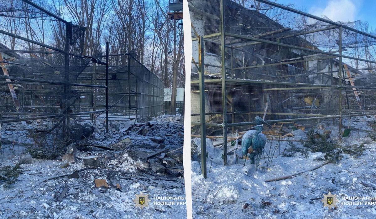 Под Харьковом россияне попали КАБом в зоопарк: ранена женщина, погибли животные (видео)