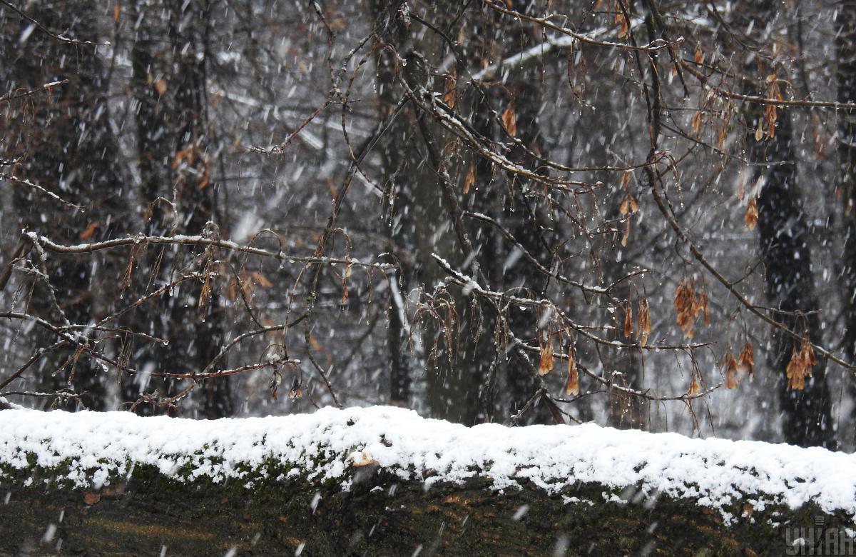 3 січня частину України накриють дощі та мокрий сніг 3 січня частину України накриють дощі та мокрий сніг