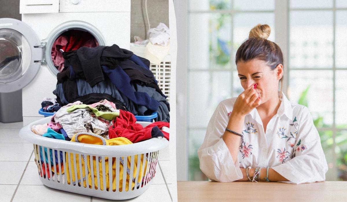 Забули білизну в пральній машині на всю ніч? Як зрозуміти, що потрібно її перепирати