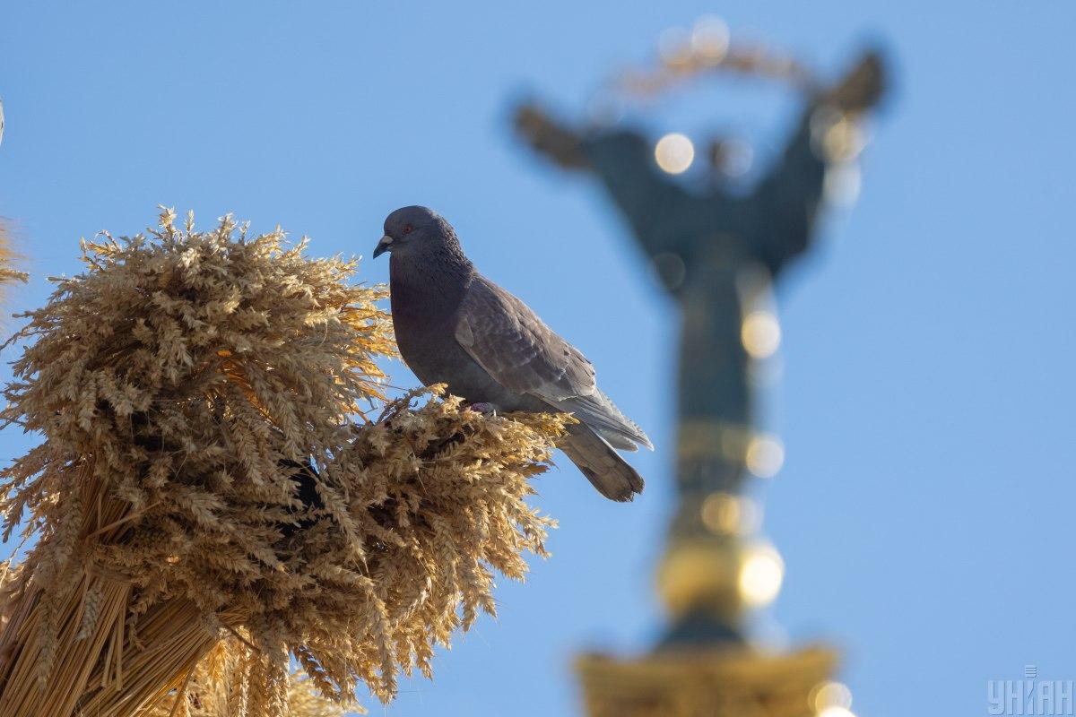 14 серпня у Києві буде останній свіжий день перед потеплінням