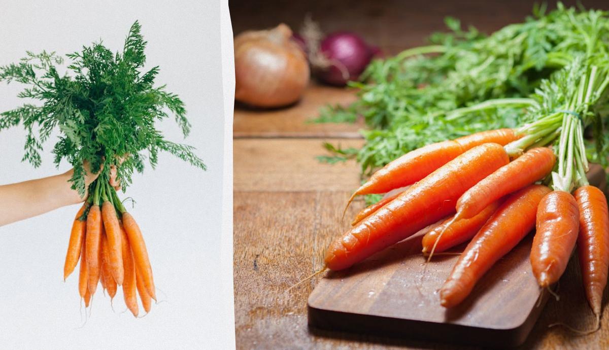 как хранить морковь