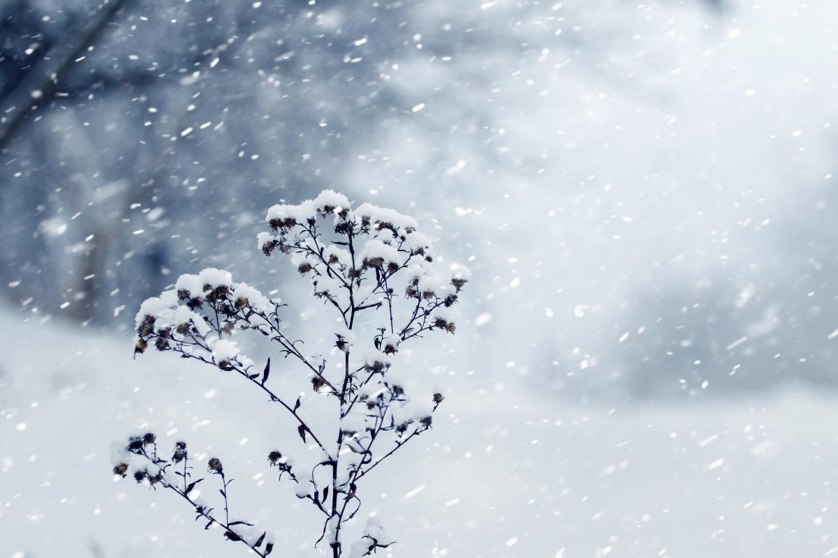 Прикмети 7 січня