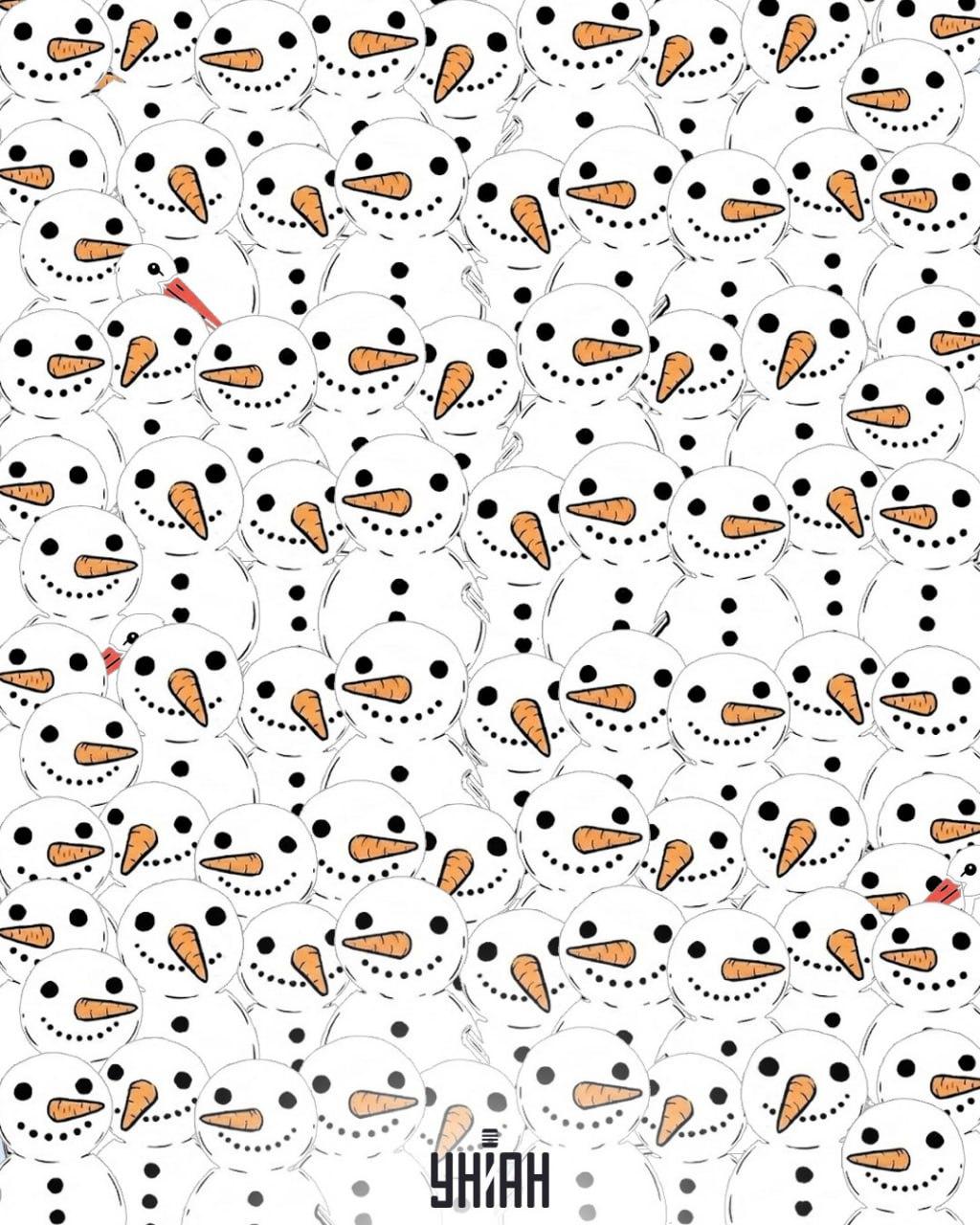 Надо найти 3 аистов среди снеговиков за 11 секунд: удивительная оптическая иллюзия