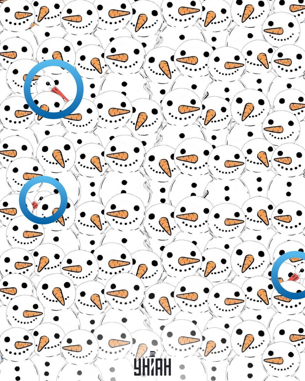 Надо найти 3 аистов среди снеговиков за 11 секунд: удивительная оптическая иллюзия