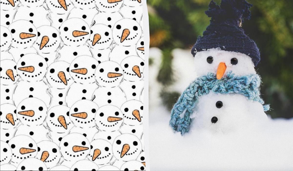 Надо найти 3 аистов среди снеговиков за 11 секунд: удивительная оптическая иллюзия