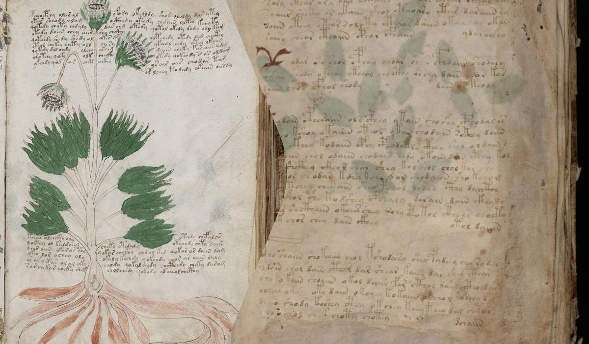 Рукопис Войнича, про який учені нічого не знають, може виявитися середньовічним шифром Рукопис Войнича, про який учені нічого не знають, може виявитися середньовічним шифром