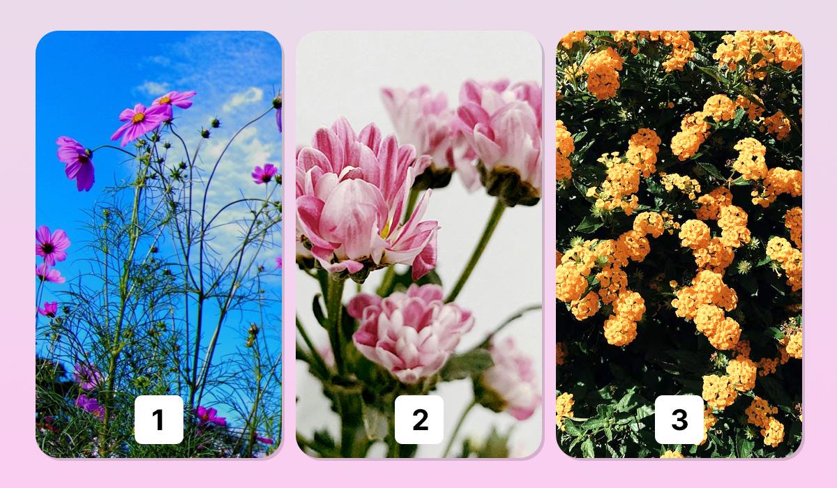 психологический тест психологический тест