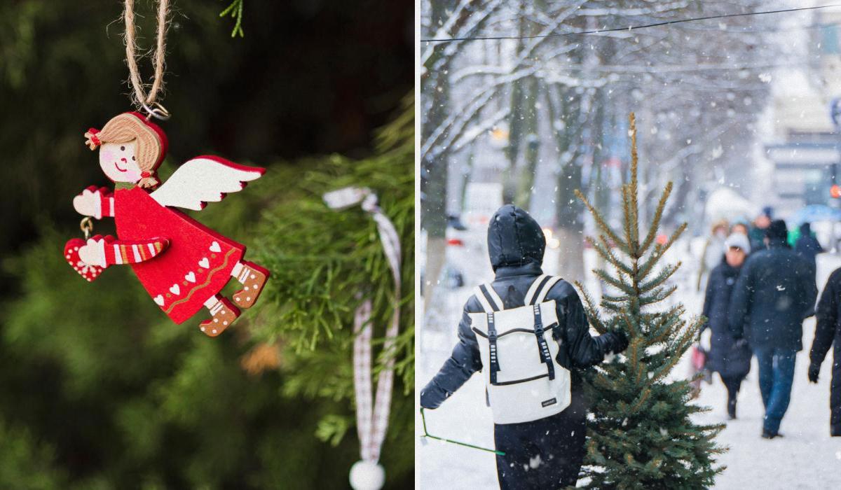 Когда убирать елку после Нового года 2026 Когда убирать елку после Нового года 2026