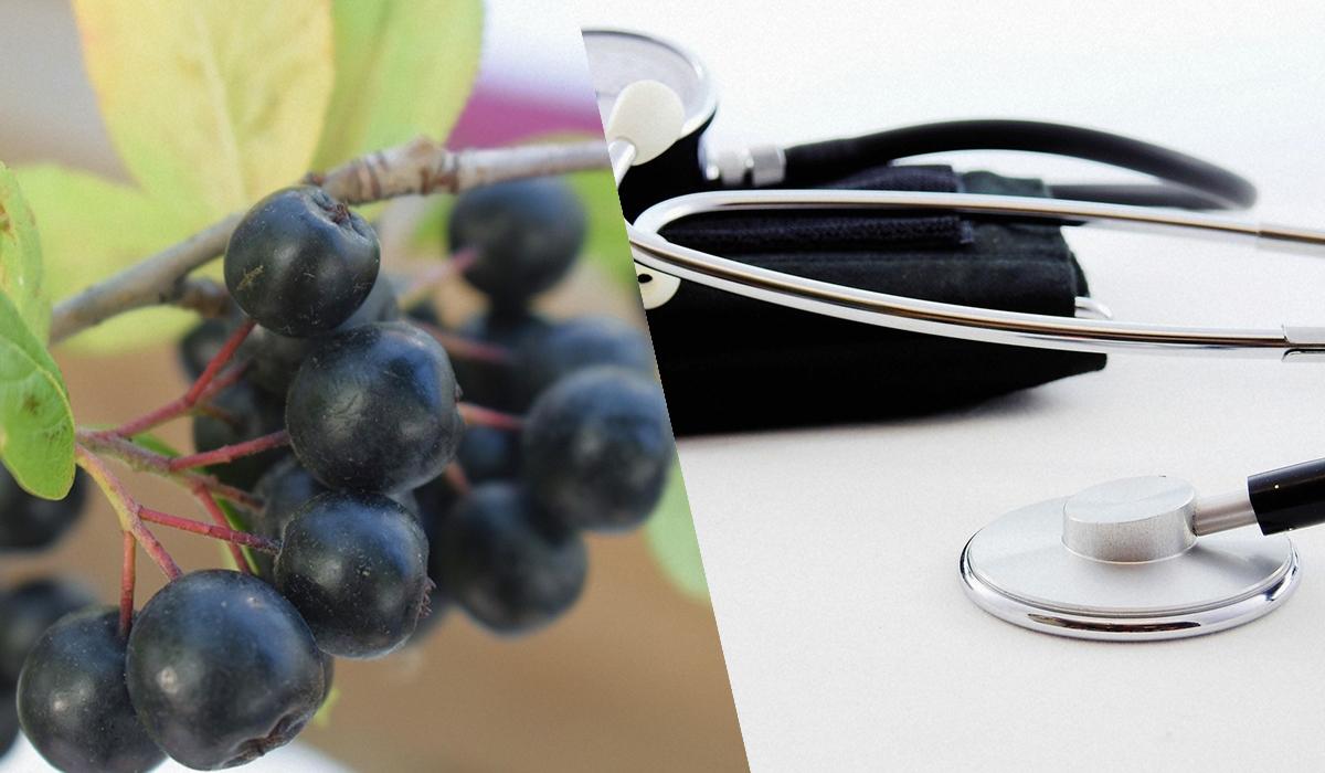 Черное золото: этот фрукт способен регулировать уровень сахара в крови и артериальное давление Черное золото: этот фрукт способен регулировать уровень сахара в крови и артериальное давление