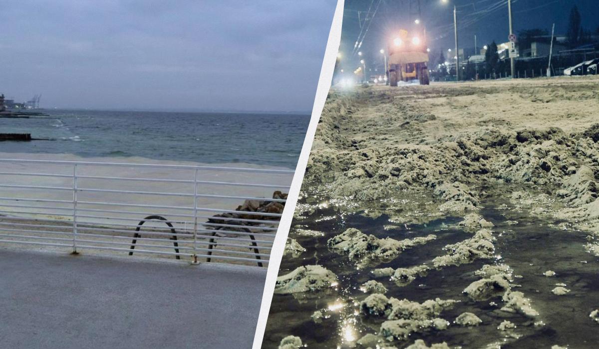 Россия целенаправленно уничтожает производство подсолнечного масла в Украине Россия целенаправленно уничтожает производство подсолнечного масла в Украине