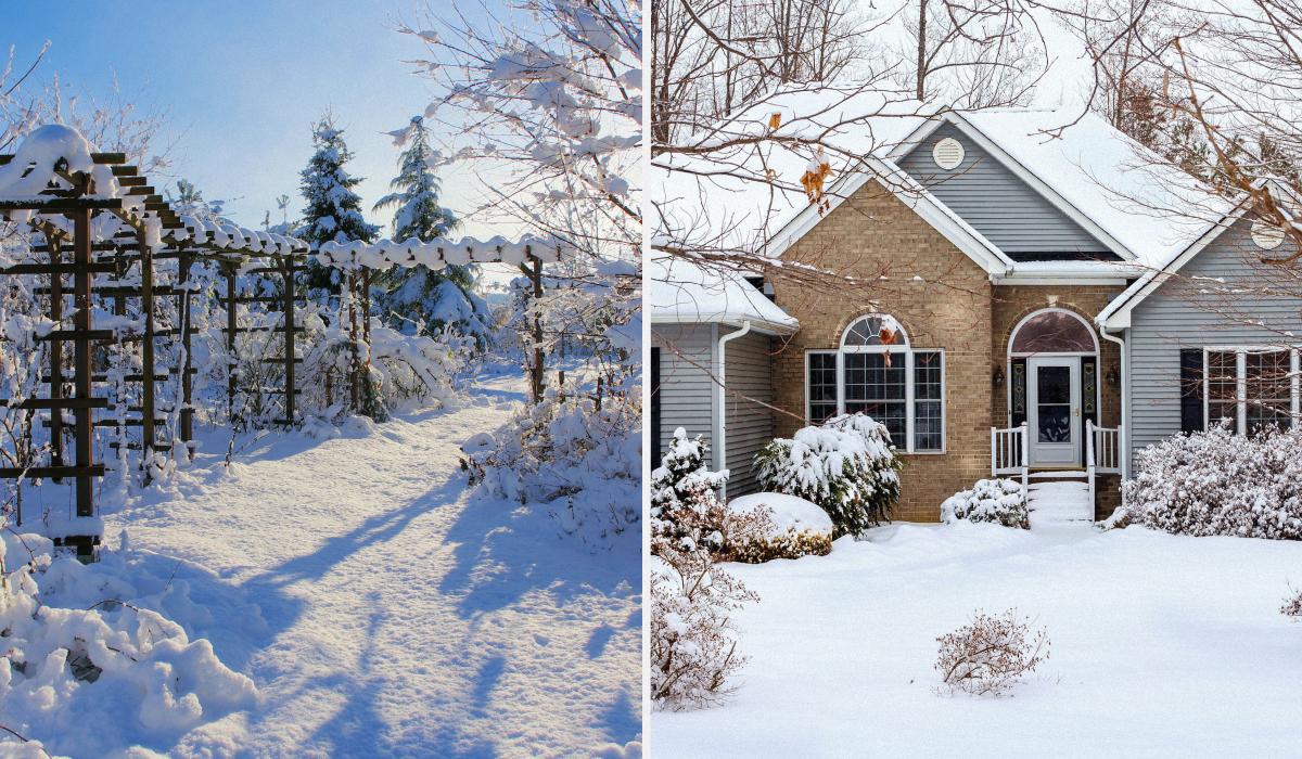 Що можна зробити в саду в січні Що можна зробити в саду в січні