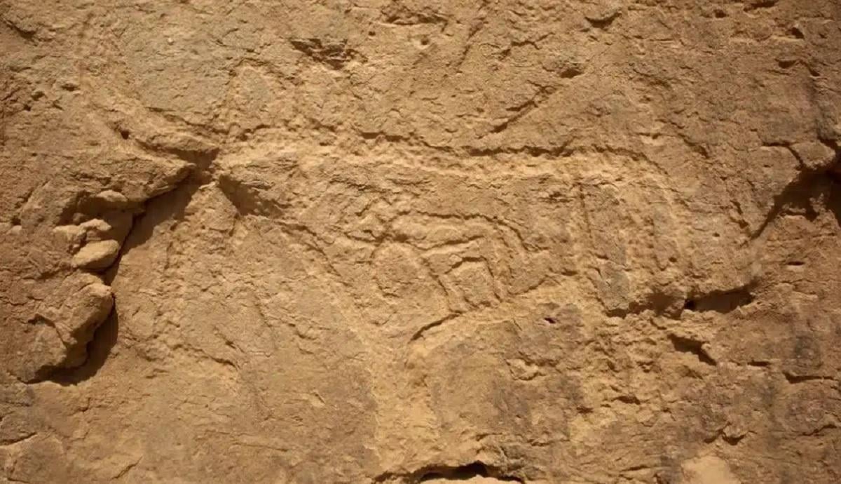 В пустелі Єгипту знайшли величезні ієрогліфи: вчені пов'язали їх з космосом В пустелі Єгипту знайшли величезні ієрогліфи: вчені пов'язали їх з космосом