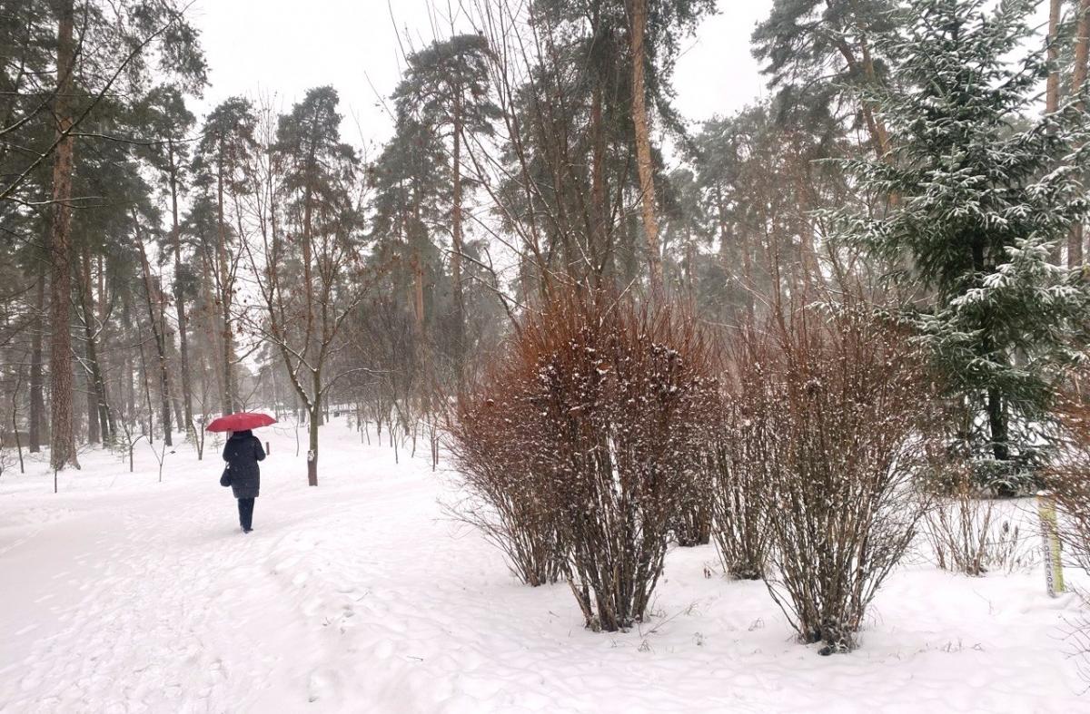 Антициклон разрушается: синоптик сообщила, как изменится погода в Украине 22 января
