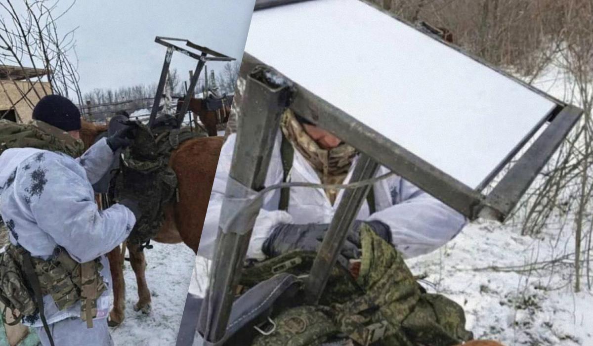 'Технологии': россияне начали использовать лошадей для перевозки терминалов Starlink 'Технологии': россияне начали использовать лошадей для перевозки терминалов Starlink