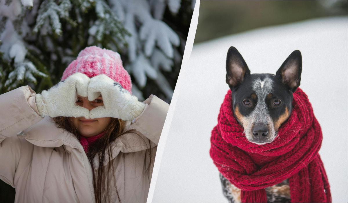 яке сьогодні свято яке сьогодні свято