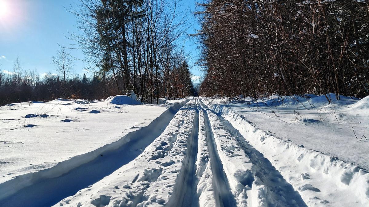 Где в Украине в понедельник будут самые сильные морозы: Диденко дала прогноз на 12 января Где в Украине в понедельник будут самые сильные морозы: Диденко дала прогноз на 12 января