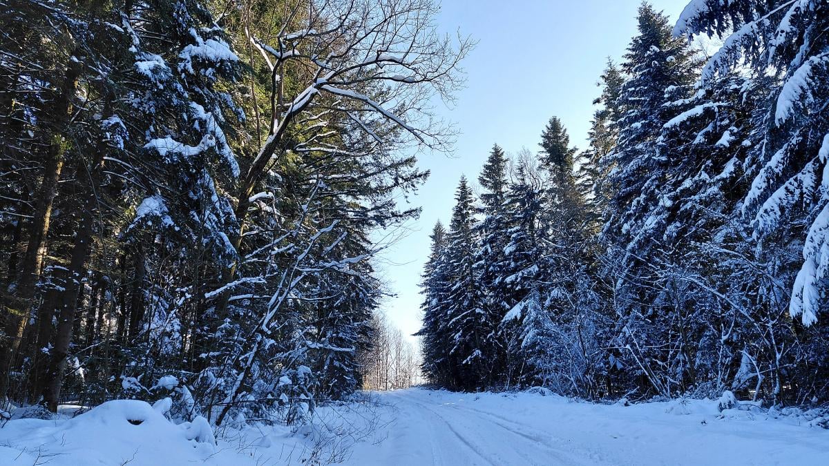 Перед выходными в Украине станет холоднее
