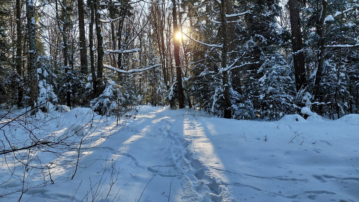 Прикмети на сьогодні