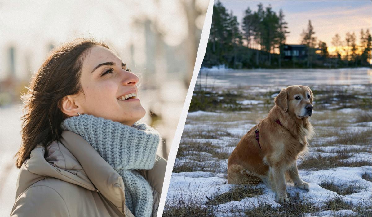 яке сьогодні свято