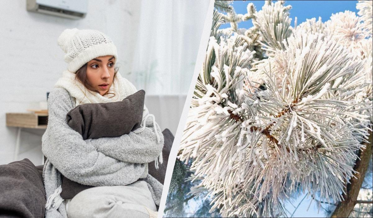 як зігрітися без опалення як зігрітися без опалення