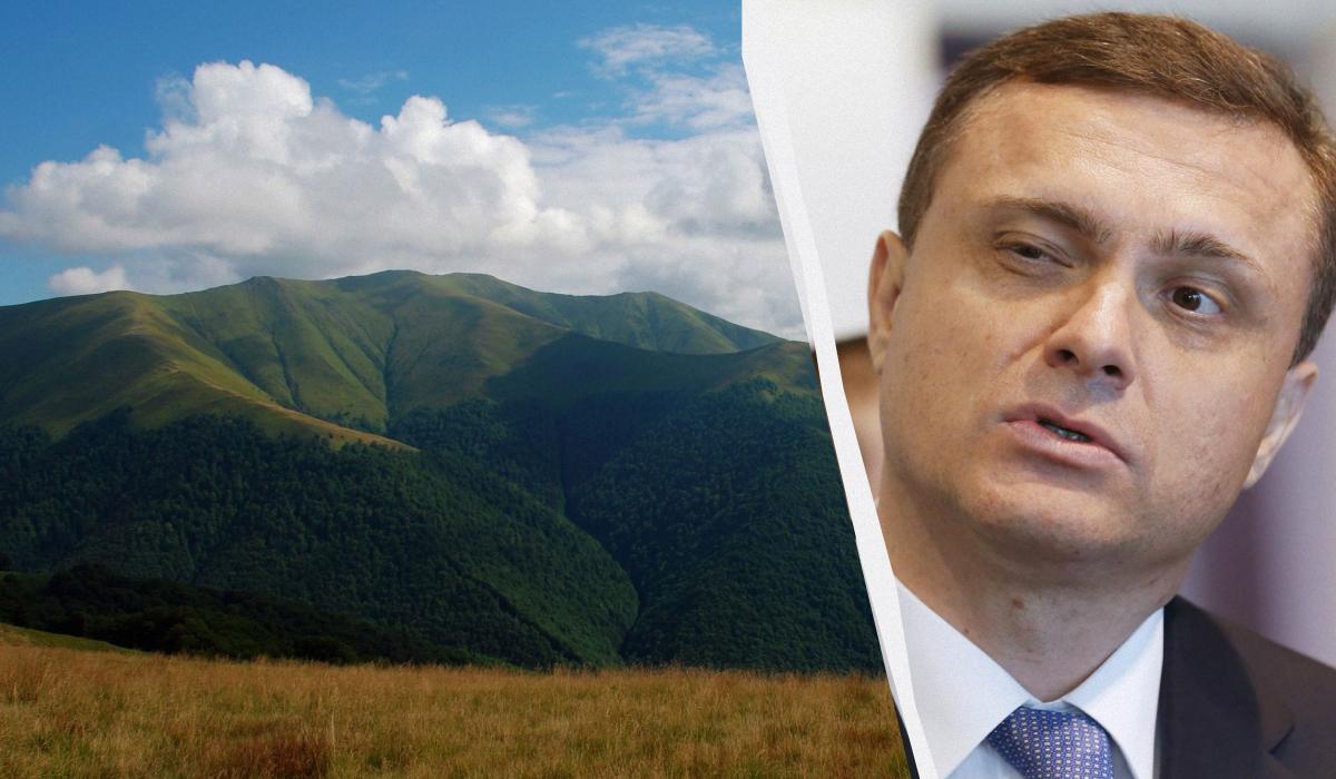 АРМА продало фірмам зятя Льовочкіна 460 гектарів землі в Карпатах