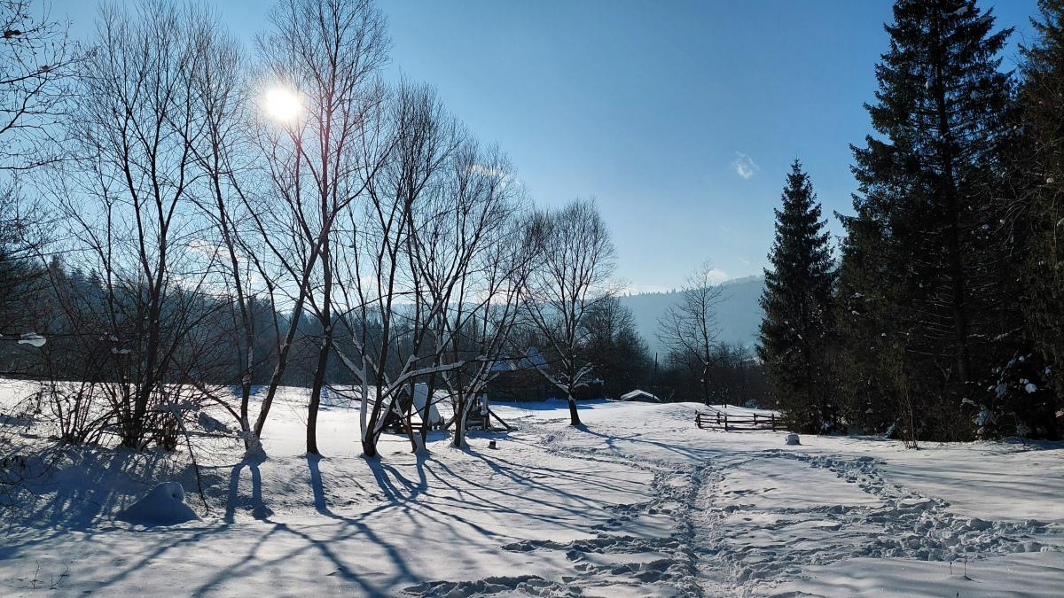 Зимняя Тустань: сказочные безлюдные пейзажи, но доехать самостоятельно сложно Зимняя Тустань: сказочные безлюдные пейзажи, но доехать самостоятельно сложно
